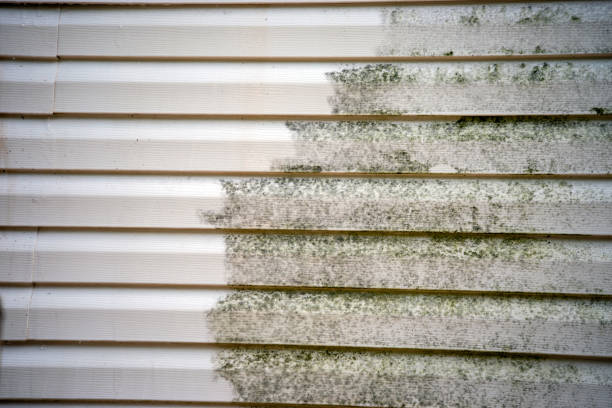 Best Property Management Cleanouts  in Old Mystic, CT